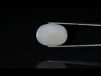 Primary video