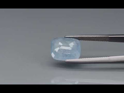 Primary video