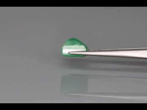 Primary video