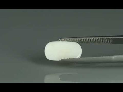 Primary video