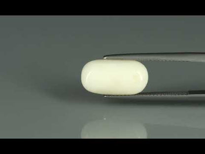 Primary video