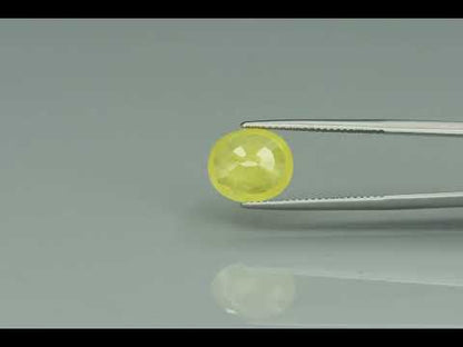 Primary video