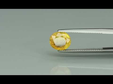 Primary video