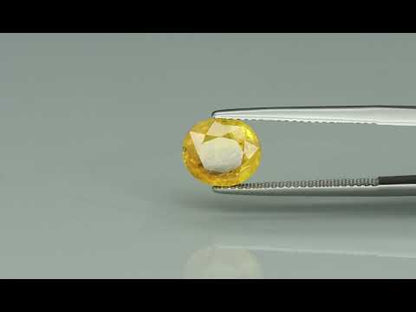 Primary video