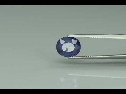 Primary video