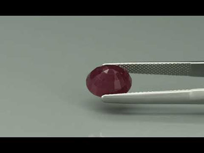 Primary video
