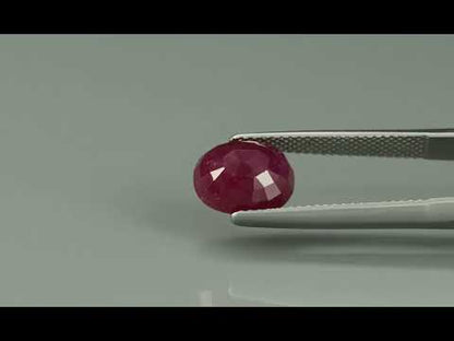 Primary video