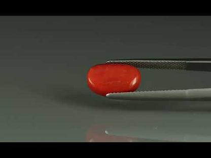 Primary video