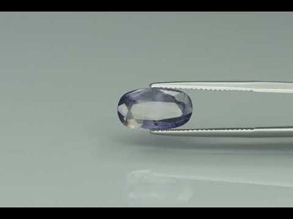 Primary video