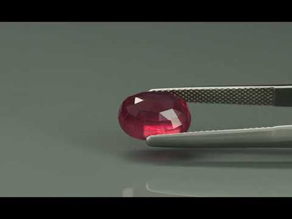 Primary video