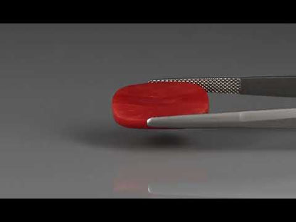 Primary video