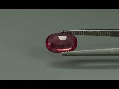 Primary video