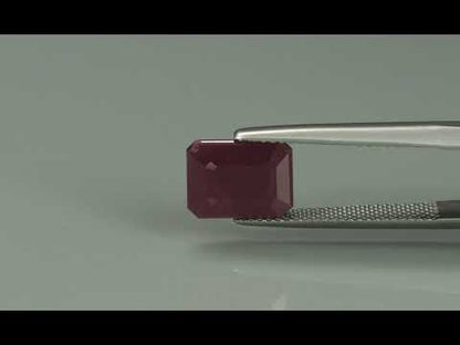 Primary video