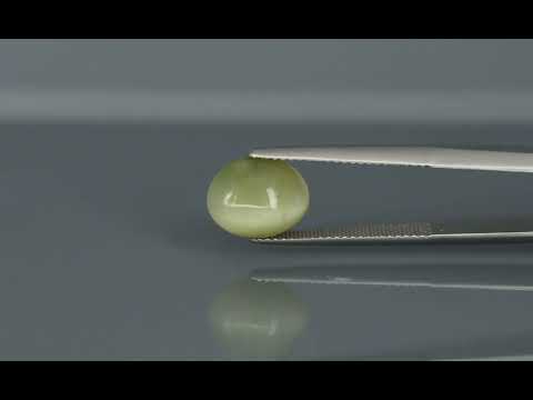 Primary video