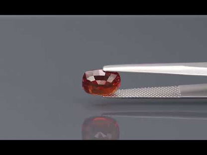 Primary video