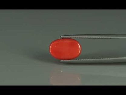 Primary video