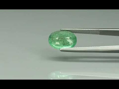 Primary video