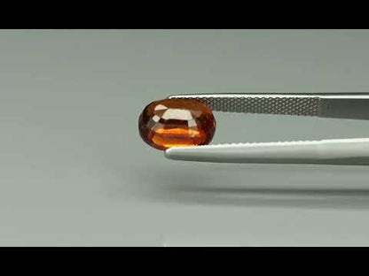 Primary video