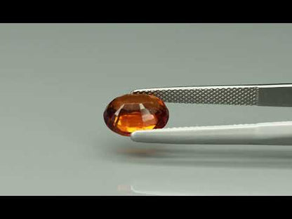 Primary video
