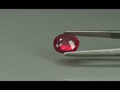 Primary video