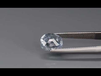Primary video