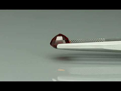 Primary video