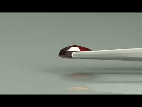 Primary video