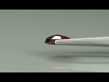 Primary video