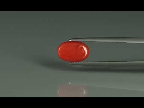 Primary video