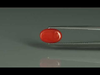 Primary video