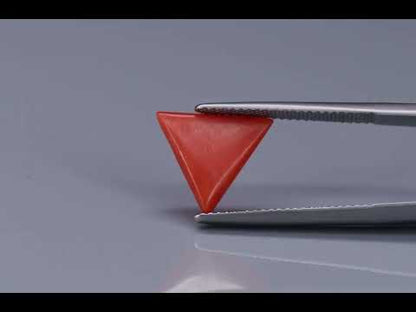 Primary video