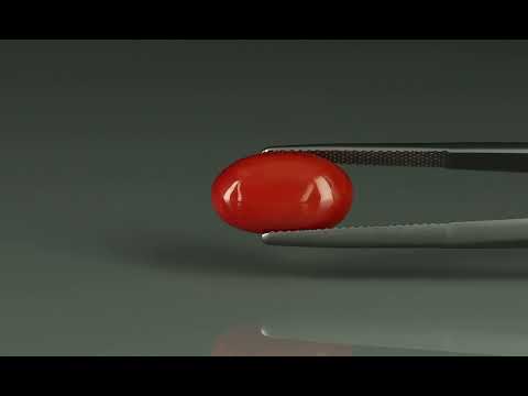 Primary video