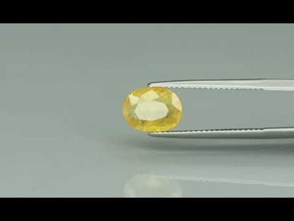 Primary video