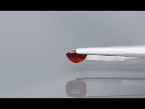 Primary video