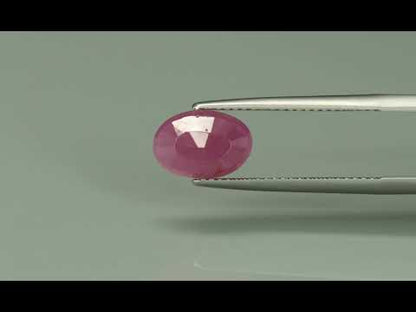 Primary video