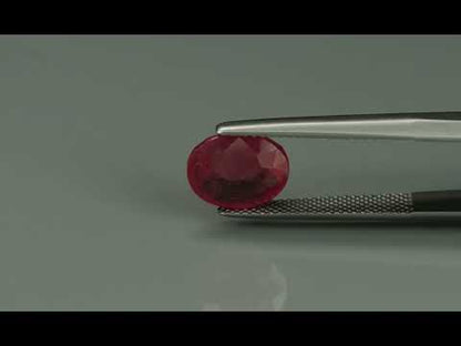 Primary video