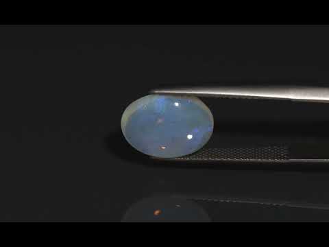 Primary video