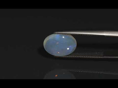 Primary video