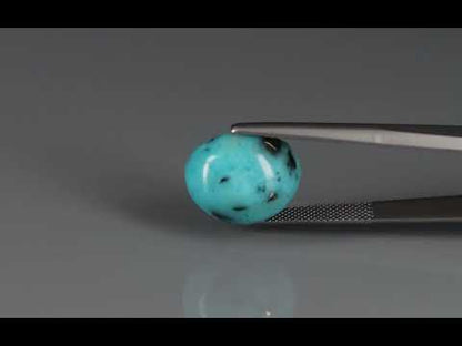 Primary video