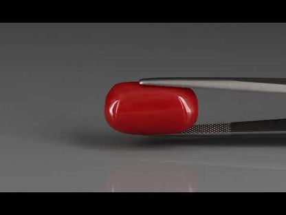Primary video
