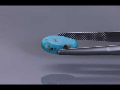 Primary video