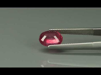 Primary video
