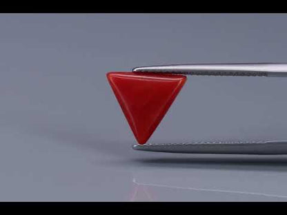 Primary video