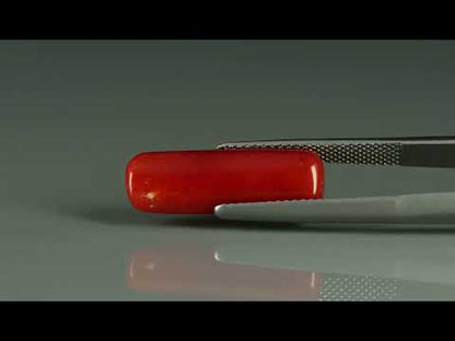 Primary video