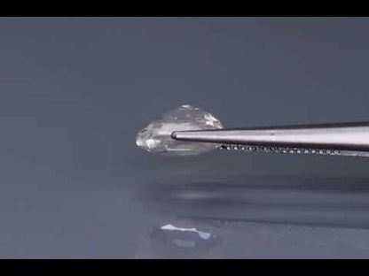 Primary video