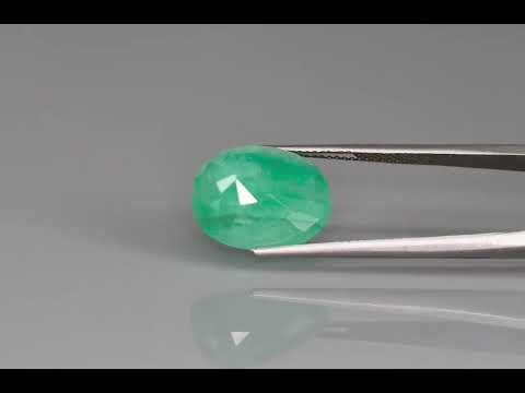 Primary video