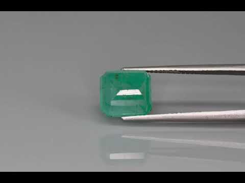 Primary video