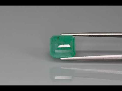 Primary video