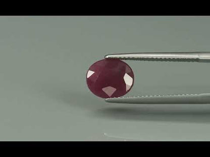 Primary video
