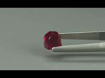 Primary video